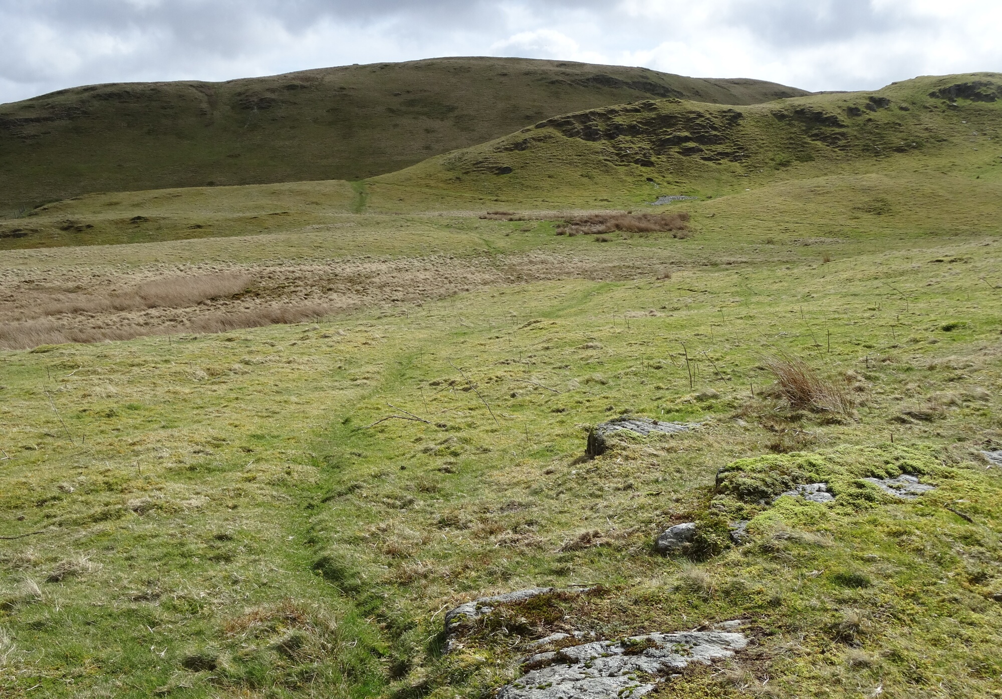 RachelSeabrook.net | Wild Walking | Ponterwyd and Pen Dihewyd | pic15